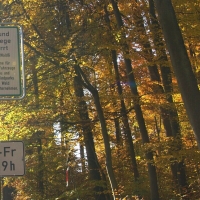 DSC06127 (1) Waldwege gesperrt.jpg